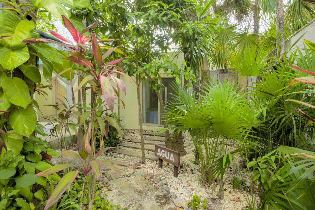 Oma Cancun - Holistic Healing Center Εξωτερικό φωτογραφία
